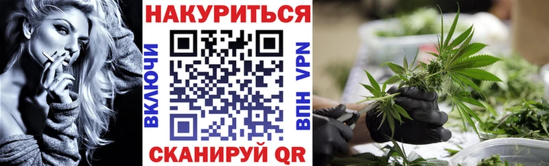 Лсд 25 Светлогорск