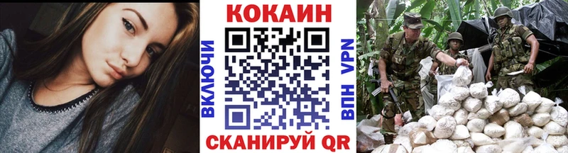 дарнет шоп  Светлогорск  Кокаин Эквадор 
