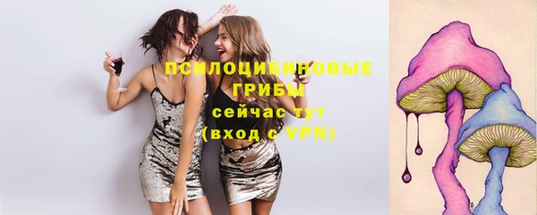 ГАЛЛЮЦИНОГЕННЫЕ ГРИБЫ Белоозёрский