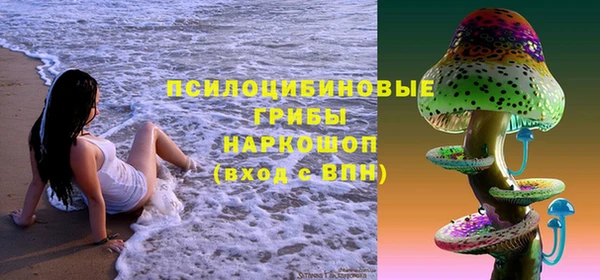 молекула духа Белокуриха