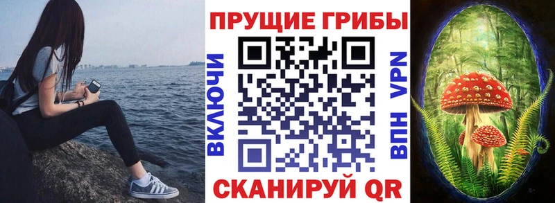 хочу наркоту  Светлогорск  Галлюциногенные грибы мицелий 